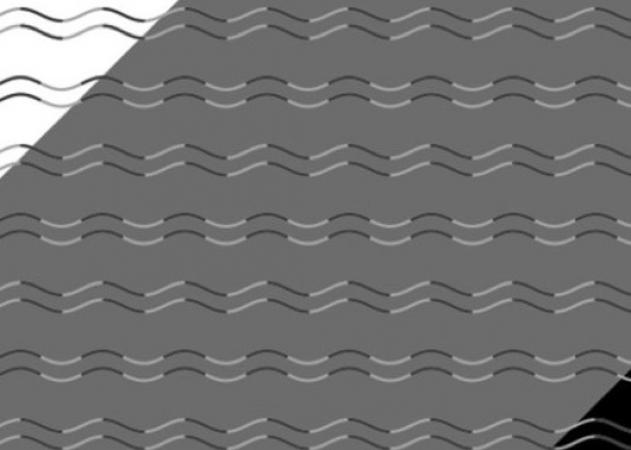 Αυτή η τρελή νέα οπτική ψευδαίσθηση δείχνει αν έχετε “τύφλωση καμπυλότητας”!