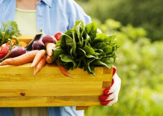 Βιολογικά τρόφιμα: Είναι πιο θρεπτικά; Τι κερδίζετε; Τι δείχνουν οι έρευνες [vid]