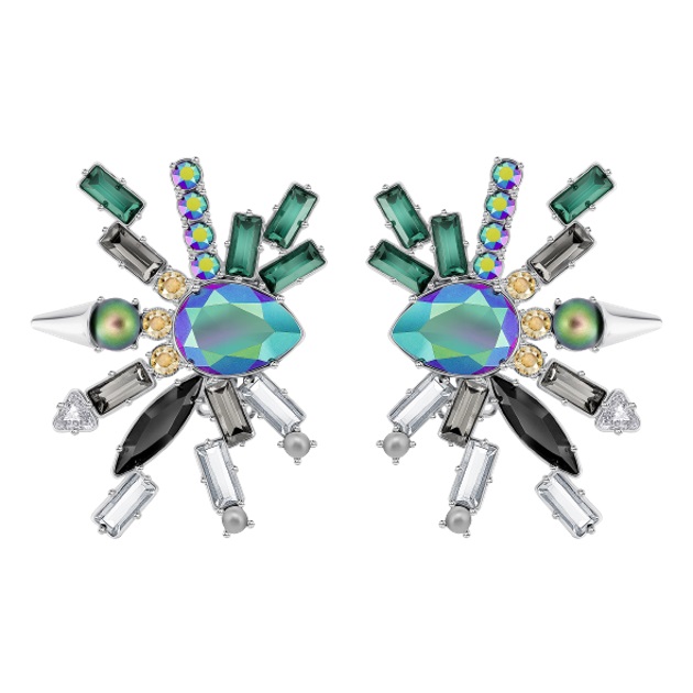 2 | Σκουλαρίκια Swarovski