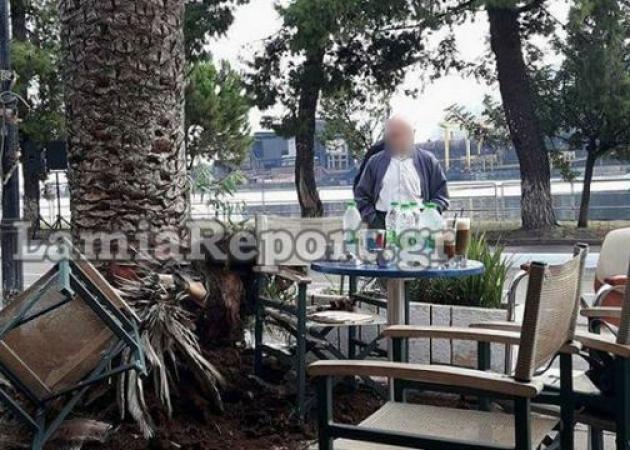 Απίστευτο ατύχημα στη Φθιώτιδα – Της έπεσε… φοίνικας στο κεφάλι! [pics]