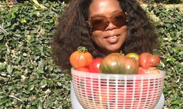 Η Oprah Winfrey αγρότισσα! Δες την διάσημη παρουσιάστρια να μαζεύει τη σοδειά