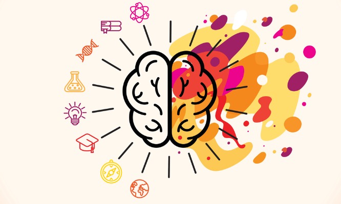 Ποιο ημισφαίριο του εγκεφάλου σou είναι πιο ισχυρό [τεστ]