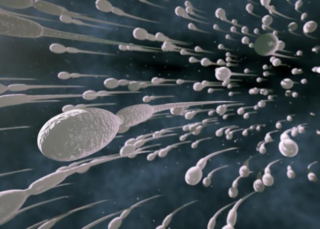 Οι άντρες πρέπει να εκσπερματώνουν 21 φορές τον μήνα λένε οι επιστήμονες – Κοίτα γιατί!