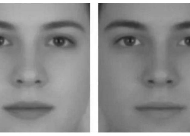 Ποιο πρόσωπο είναι ο άνδρας και ποιο η γυναίκα; Η εικόνα που σαρώνει στο internet [pic]