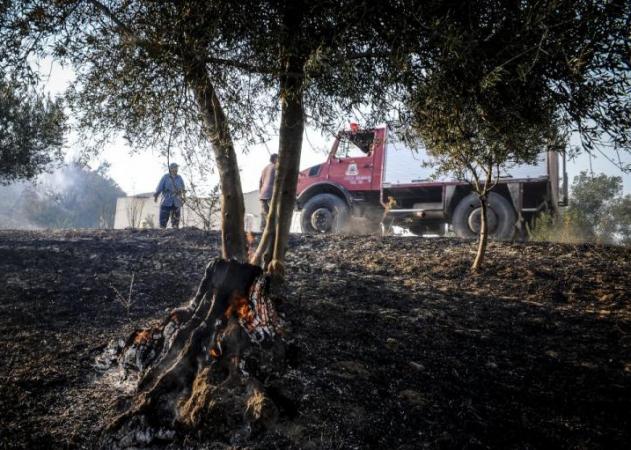 Ηλεία: Συνεχίζεται η μάχη με τις φλόγες, καλύτερη η εικόνα