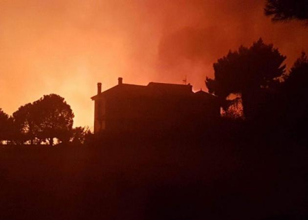 Φωτιά στην Αττική : Μάχη όλη τη νύχτα – Απειλήθηκαν σπίτια- Καλύτερη εικόνα με το πρώτο φως της ημέρας