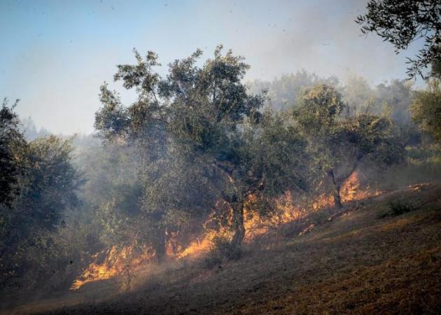 Αναζωπύρωση της φωτιάς στην Ηλεία – Κινδυνεύουν τρία χωριά