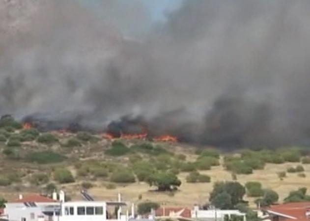 Μεγάλη φωτιά στα Καλύβια Αττικής – Μάχη με τον αέρα και τις φλόγες!