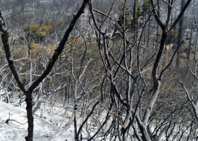 Μανιακός εμπρηστής κυκλοφορεί στο Μαρούσι! Έβαλε τρεις φωτιές μέσα σε 27 λεπτά
