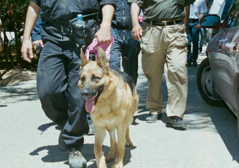 Νεκρή βρέθηκε η 44χρονη μητέρα που είχε εξαφανιστεί στην Αιτωλοακαρνανία