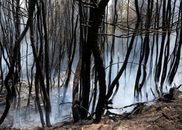 Φωτιά στην Αττική: Τίποτα δεν θα είναι όπως παλιά! Σε 30 χρόνια και βλέπουμε!