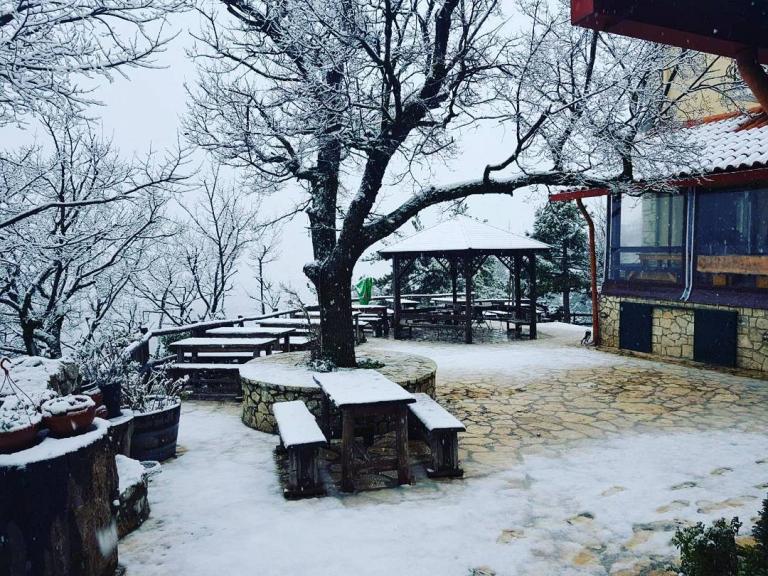 Καιρός: Στην «κατάψυξη» η χώρα! Κακοκαιρία και τσουχτερό κρύο – Χιονίζει στην Πάρνηθα