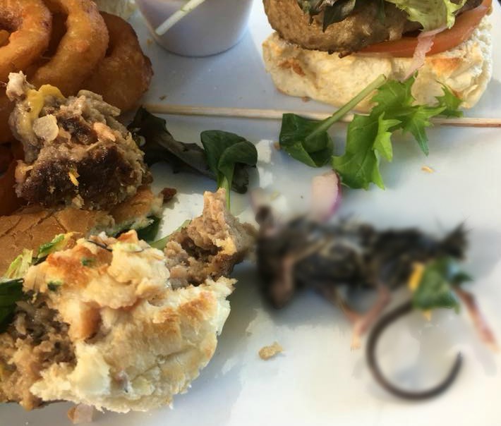 Σοκ: Βρήκε ένα νεκρό ποντίκι μέσα στο μπέργκερ του