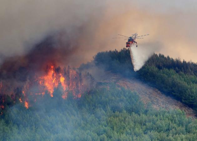 Μεγάλη πυρκαγιά στον Ωρωπό – Κατακαίει τα πάντα
