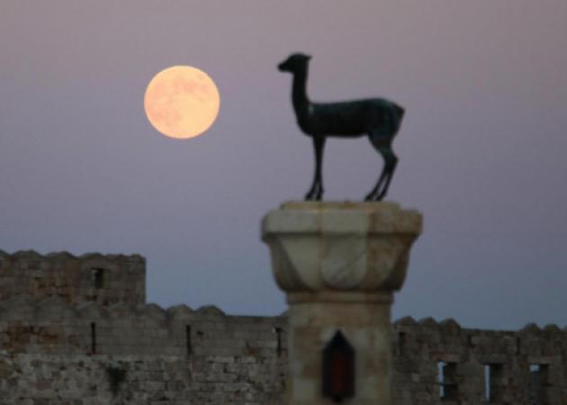 Tουρκική τράπεζα έβγαλε στο “σφυρί” έκταση στη Ρόδο! Έγινε ο πλειστηριασμός