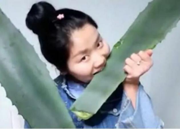 ΣΟΚ στην οθόνη: Δάγκωσε δηλητηριώδες φυτό – Το λάθος που την έστειλε στα Επείγοντα! [vid]