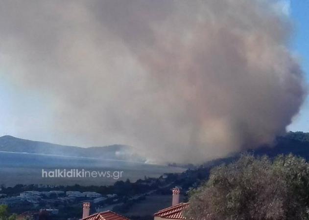 Μάχη με τις φλόγες στη Χαλκιδική – Σε ύφεση η φωτιά στις Σέρρες