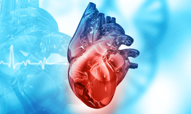 Καρδιά – τεστ: Δες αν κινδυνεύεις με έμφραγμα στα επόμενα 10 χρόνια