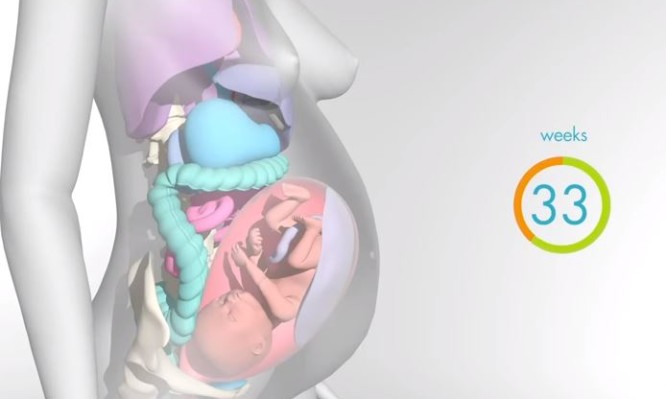 Σπάνιες εικόνες: Πώς αλλάζει το σώμα της γυναίκας στην εγκυμοσύνη [vid]