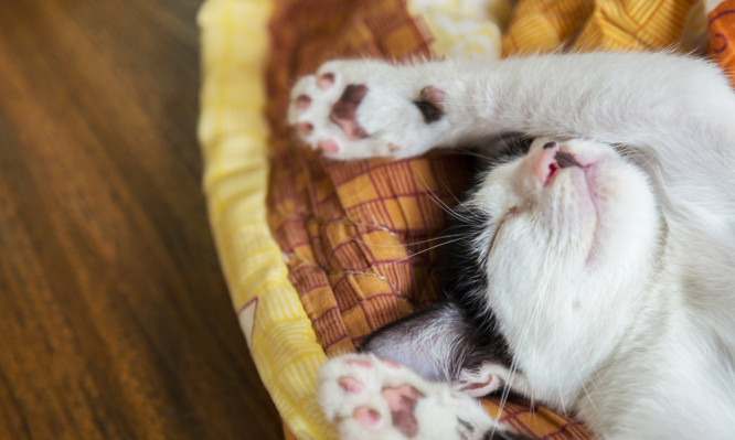 Ύπνος: Ποια είναι η μέθοδος 4-7-8 για να κοιμηθείτε εύκολα [vid]