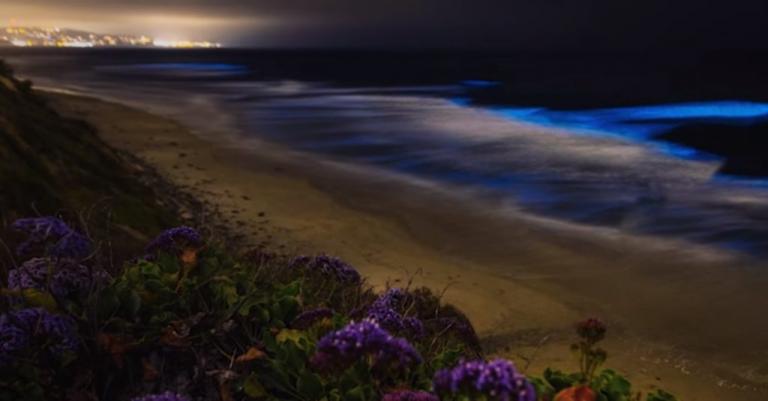 Απόκοσμη και εντυπωσιακή! Η «απίστευτη» βιοφωταύγεια που δίνει στην Καλιφόρνια μια μπλε λάμψη