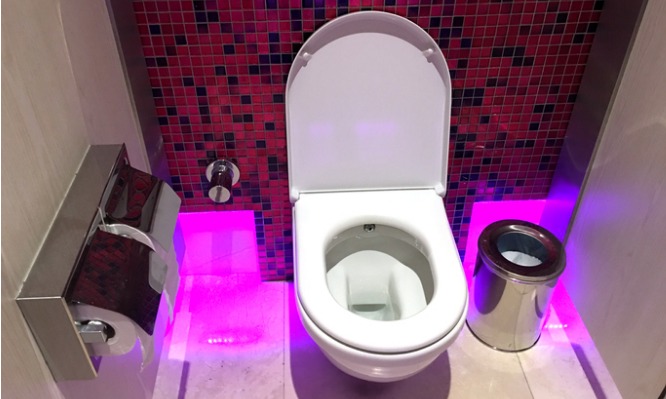 Δημόσιες τουαλέτες: Ποιος είναι ο πιο υγιεινός τρόπος να κάθεστε [vid]