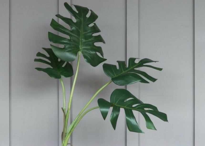 Τεχνητά φυτά: Η αναπάντεχη τάση της διακόσμησης και πώς να την εντάξεις στο σπίτι σου