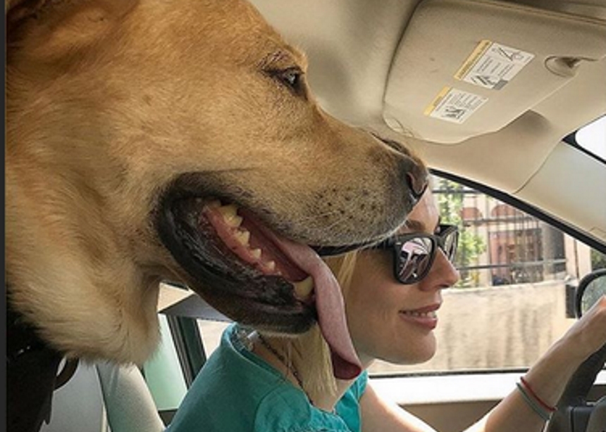Σμαράγδα Καρύδη: Ο σκύλος της απέκτησε δικό του λογαριασμό στο Instagram!