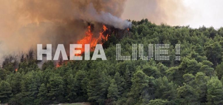 Καίγεται η Ηλεία! – Μεγάλη επιχείρηση της πυροσβεστικής στα πύρινα μέτωπα! [pics]