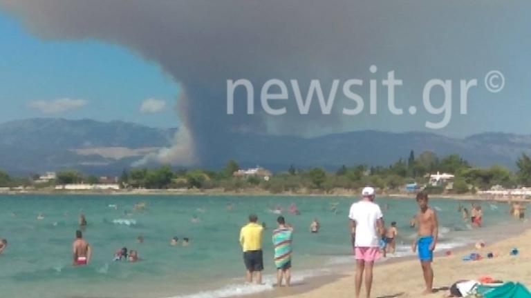 Εκκενώνονται χωριά στην Εύβοια – Οι φλόγες καίνε το χωριό Κοντοδεσπότι κοντά στα Ψαχνά – Τριπλό μέτωπο στην Εύβοια | tlife.gr Εκκενώνονται χωριά στην Εύβοια – Οι φλόγες καίνε το χωριό Κοντοδεσπότι κοντά στα Ψαχνά – Τριπλό μέτωπο στην Εύβοια | tlife.gr