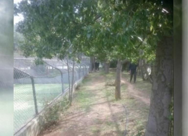 Άνδρας βρέθηκε απαγχονισμένος στο Άλσος Βεΐκου | tlife.gr