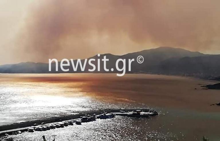 Μαίνεται η φωτιά στη Χαλκιδική! Κάτοικοι εγκαταλείπουν τα σπίτια τους | tlife.gr Μαίνεται η φωτιά στη Χαλκιδική! Κάτοικοι εγκαταλείπουν τα σπίτια τους | tlife.gr