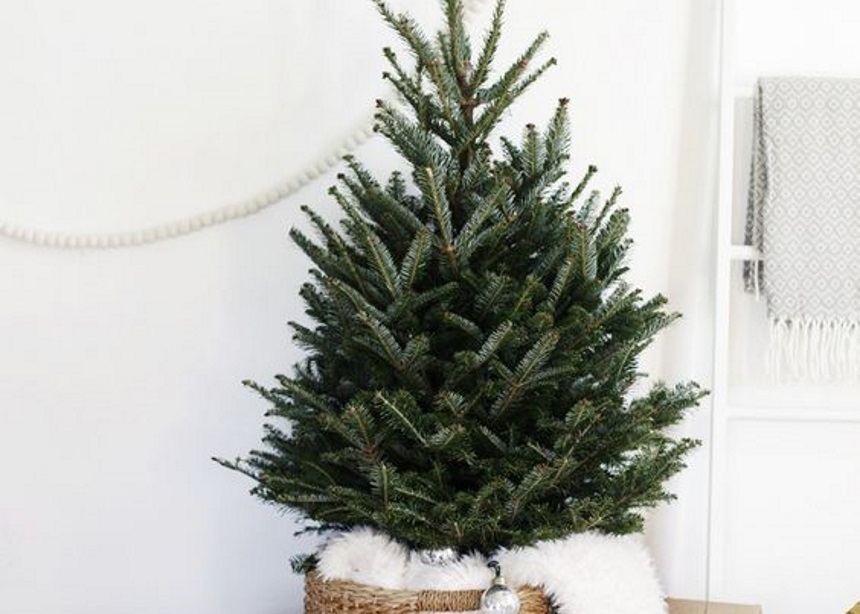Milllennial Christmas: Αυτές είναι οι πιο ανατρεπτικές τάσεις στο χριστουγεννιάτικο δέντρο