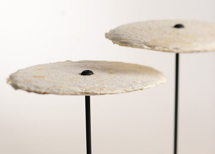 Mycelium lights: Αυτά τα minimal και vegan φωτιστικά είναι φτιαγμένα από… μανιτάρια