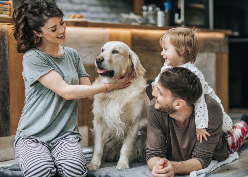 Family Pet: Πού θα αφήσετε το τετράποδο μέλος της οικογένειας τα φετινά Χριστούγεννα;