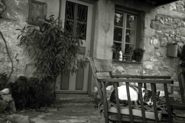 Έφυγαν αγκαλιασμένοι από τη ζωή στο κρεβάτι τους – Η ιστορία που ραγίζει καρδιές τα φετινά Χριστούγεννα! | tlife.gr Έφυγαν αγκαλιασμένοι από τη ζωή στο κρεβάτι τους – Η ιστορία που ραγίζει καρδιές τα φετινά Χριστούγεννα! | tlife.gr