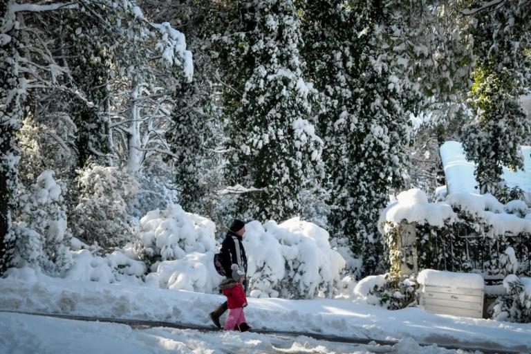 Καιρός: Έρχεται νέος χιονιάς – Πού και πότε θα χιονίσει! | tlife.gr