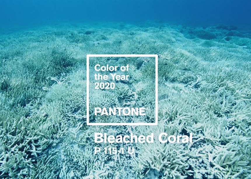 Bleached Coral: Μήπως αυτό θα έπρεπε να είναι το Χρώμα της Χρονιάς για το 2019;