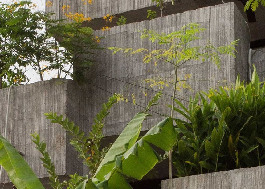 Planter Box house: Ένα καινοτόμο σπίτι που λειτουργεί και ως “γλάστρα” για 40 είδη φυτών