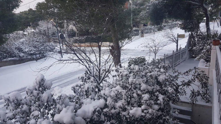 Καιρός: Νέα επιδείνωση αύριο με χιόνια και βροχές – Κίνδυνος πλημμύρας | tlife.gr Καιρός: Νέα επιδείνωση αύριο με χιόνια και βροχές – Κίνδυνος πλημμύρας | tlife.gr