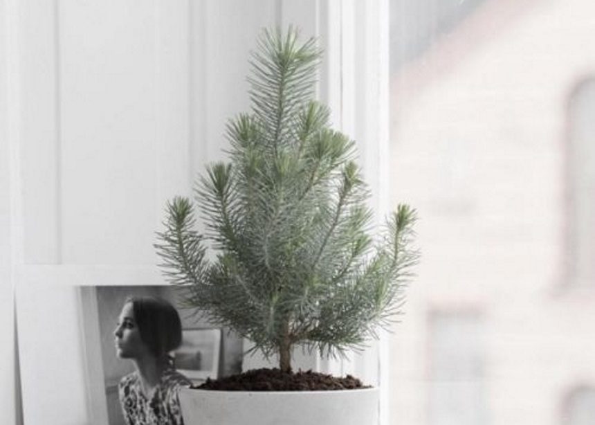 Xmas Un-decorating: Τέσσερα βήματα για να αποθηκεύσεις με ασφάλεια τα στολίδια σου | tlife.gr Xmas Un-decorating: Τέσσερα βήματα για να αποθηκεύσεις με ασφάλεια τα στολίδια σου | tlife.gr