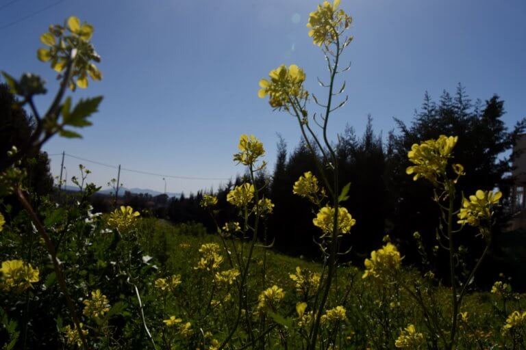 Καιρός: Ηλιόλουστος αύριο Τετάρτη (20.2.2019) – Αναλυτική πρόγνωση