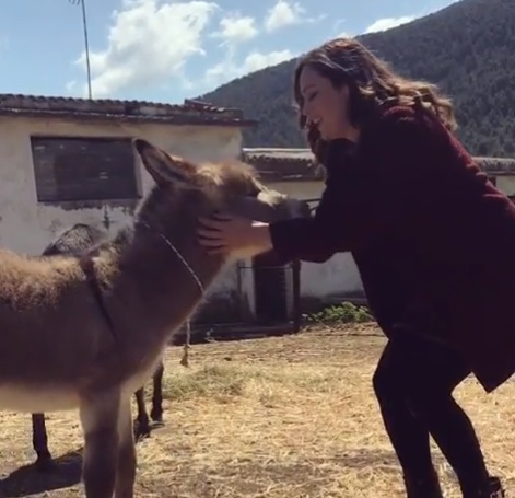 Μπάγια Αντωνοπούλου: Εντυπωσιασμένη από τη συνάντησή της με τα πιο… συμπαθητικά γαϊδουράκια! video