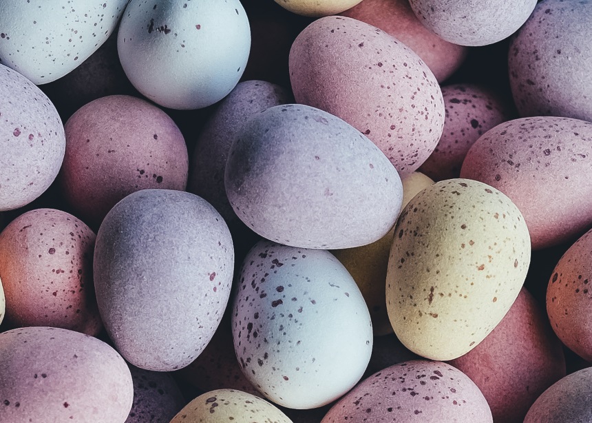 Eggvolution: Το πιο εύκολο test για να δεις αν τα αυγά σου είναι φρέσκα!