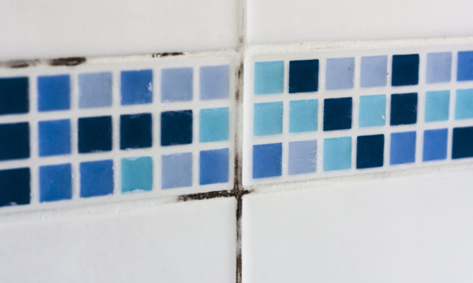 Μούχλα στο μπάνιο: Το κόλπο για να βγει από κάθε δύσκολο σημείο