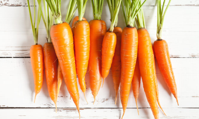 Αυτές οι τροφές μπορεί να σας προστατεύσουν από το πάρκινσον λένε οι επιστήμονες