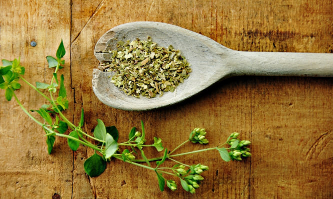 Πού βοηθάει η ρίγανη: Θεραπευτικές και θρεπτικές ιδιότητες
