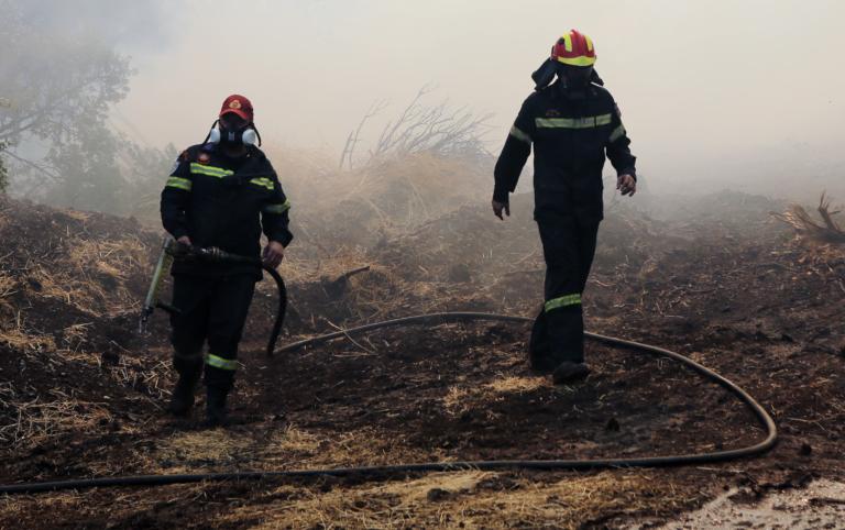 Εύβοια: Τα στοιχεία που δείχνουν… εμπρησμό! Τεράστια η οικολογική καταστροφή