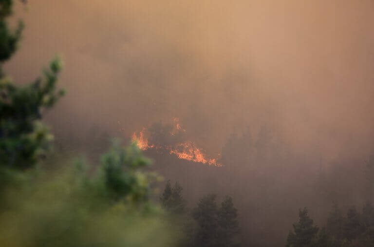 Υψηλός κίνδυνος πυρκαγιάς λόγω ζέστης και ανέμων –  Συναγερμός σε όλη τη χώρα!