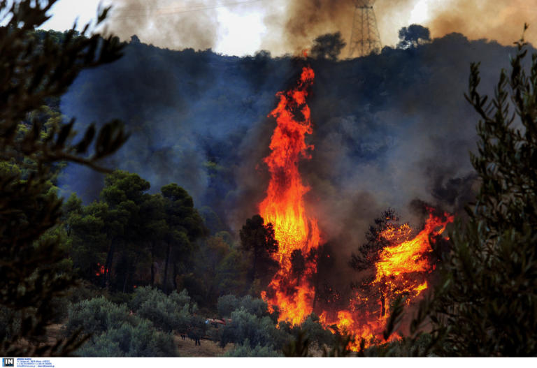 Φωτιά τώρα στη Πάργα